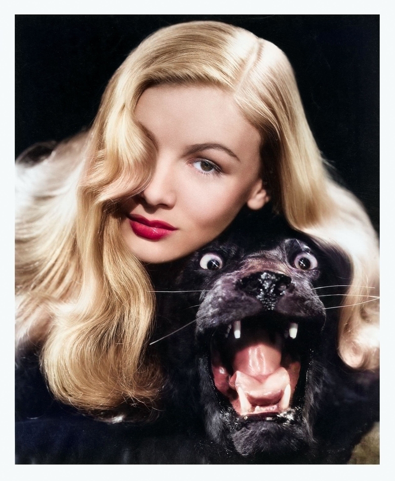 Veronica Lake | Alamy Stock Photo