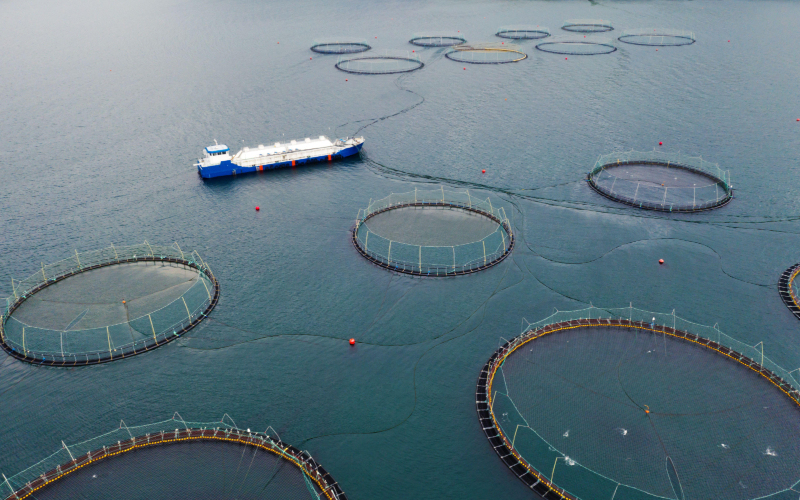 Un cultivo de peces de ensueño en las Islas Feroe, Dinamarca | Alamy Stock Photo by Ivan Kmit