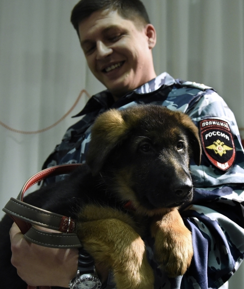 Freude des Polizisten | Getty Images Photo by YURI KADOBNOV/AFP