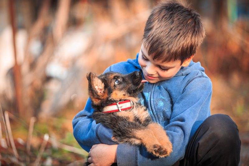 Süßes Mädchen | Shutterstock