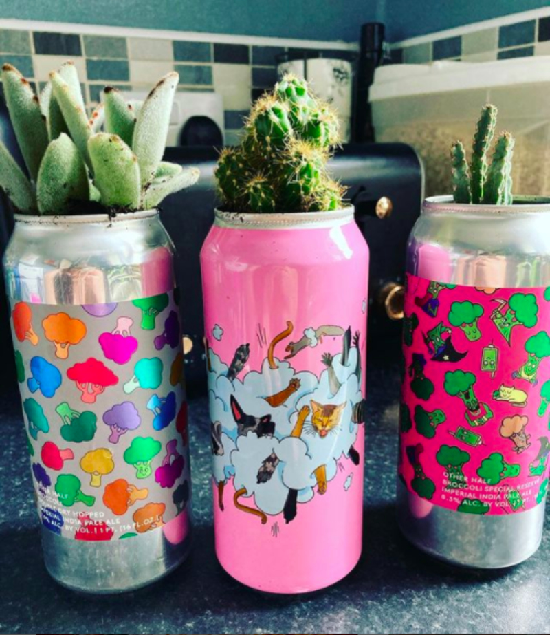 Fazer Vasos Para Plantas | Instagram/@hellzahoppinfun