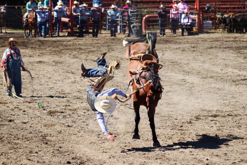 Arrastrado por el caballo | Alamy Stock Photos