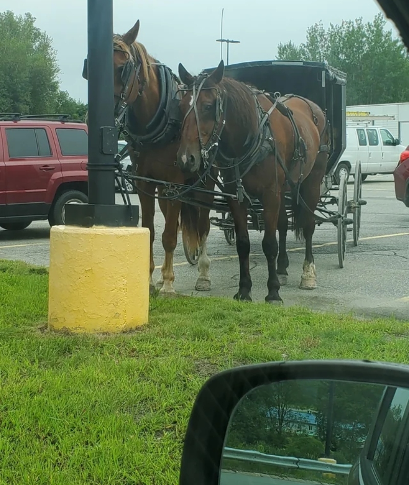 Compras al estilo Amish | Reddit.com/i-like-mr-skippy