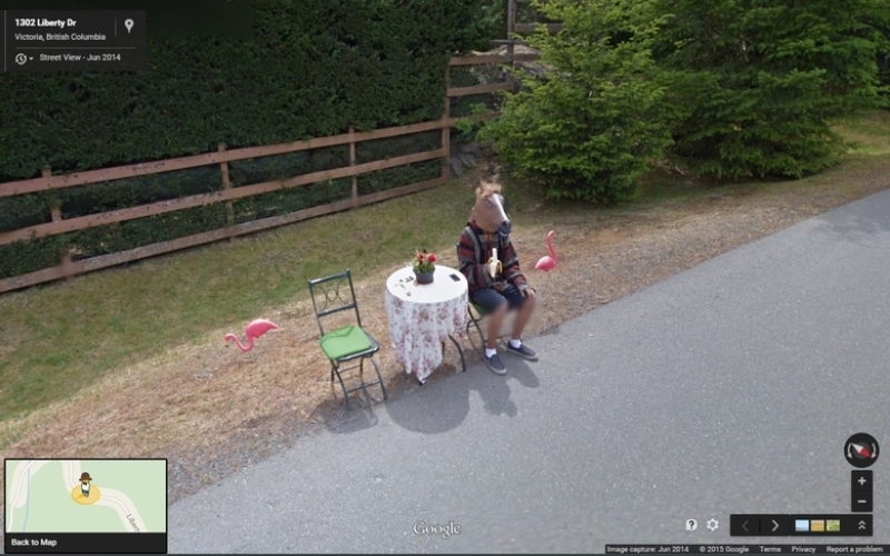 Ein Pferd isst eine Banane, inmitten seiner Flamingo-Kumpels | Imgur.com/Mousepad4 via Google Street View