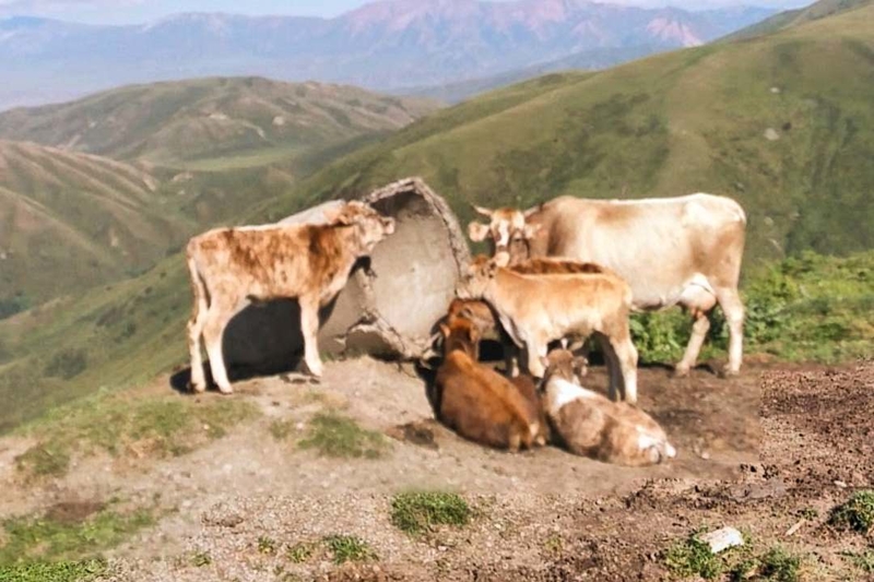 Sie wurden nicht eingeladen | Instagram/@paranabs via Google Street View