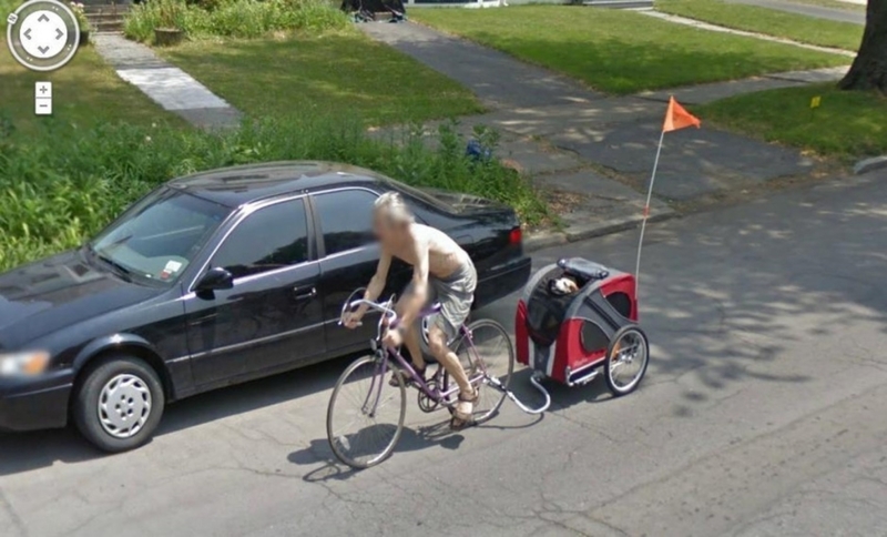 Dieser Hund ist ganz aus dem Häuschen | Reddit.com/Sarsen via Google Street View