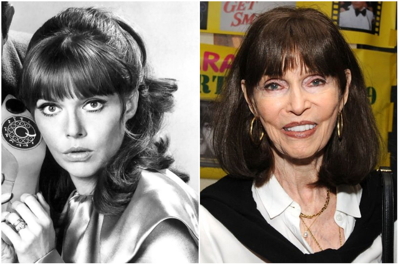 Barbara Feldon | Alamy Stock Photo & Getty Images Photo by Bobby Bank