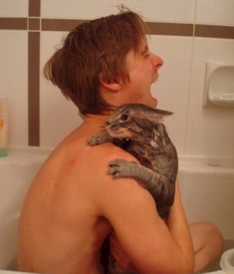 Badezeit mit Kitty | Imgur.com/qhs21