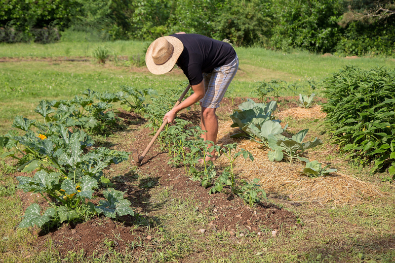 Green Fingered | Alamy Stock Photo by Simon Kovacic 