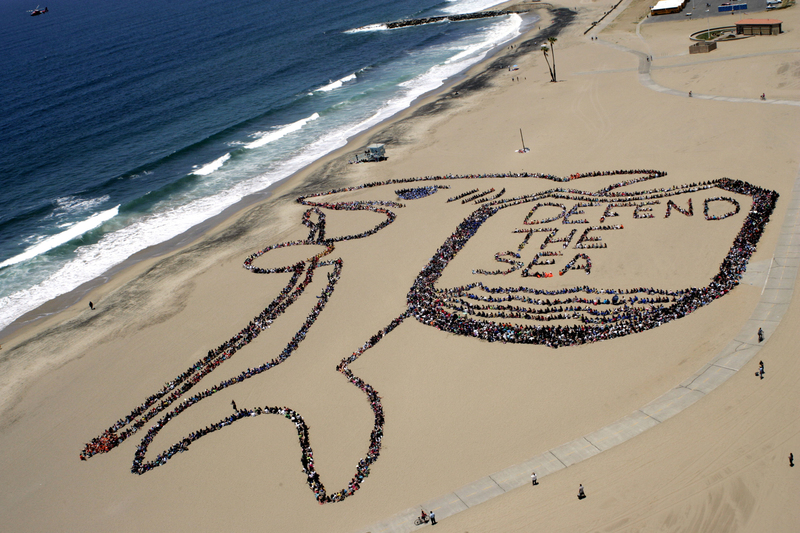 A Growing Movement | Getty Images Photo by Lou Dematteis