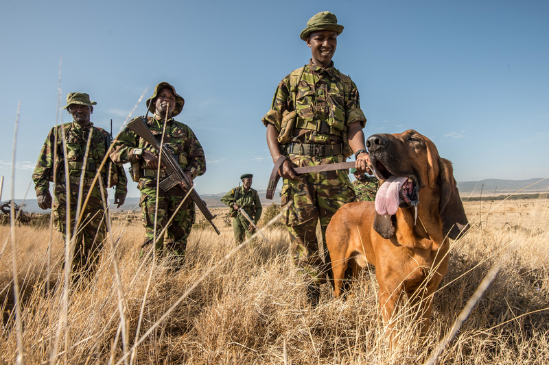 These Three Musketeers Track Down Illegal Elephant Poachers | Alamy Stock Photo by Ami Vitale