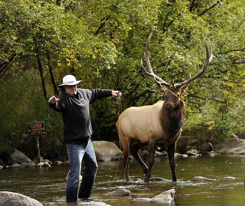 Sai fora, eu estava pescando aqui primeiro | Getty Images Photo By Joe Amon/The Denver Post