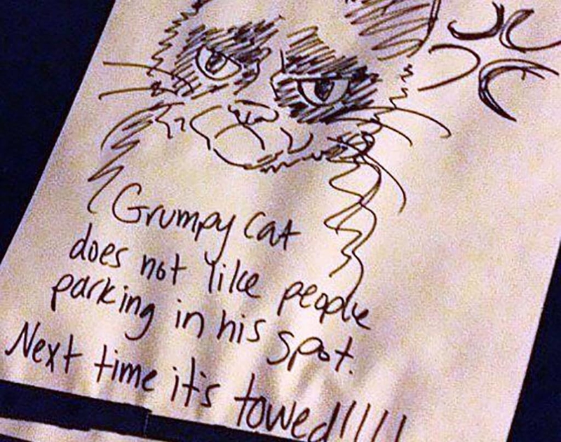 Grumpy Cat's Ablehnung | Imgur.com/kDupD