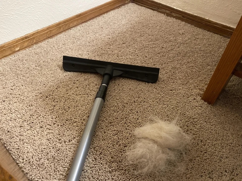 Remove Pet Hair | Reddit.com/xXJuanSanXx