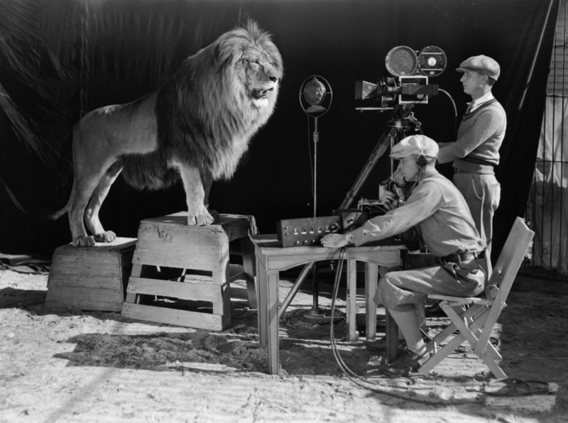 Der MGM Löwe | Getty Images Photo by John Kobal Foundation