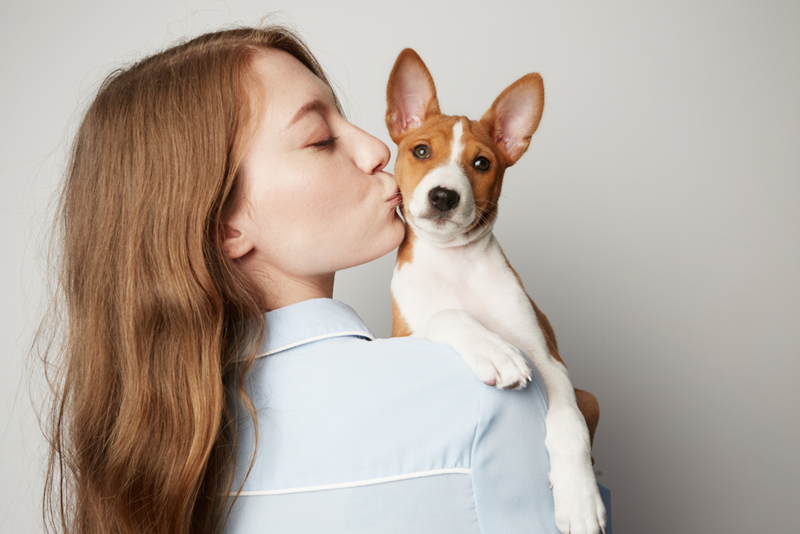 Um Beijinho No Doguinho | Shutterstock