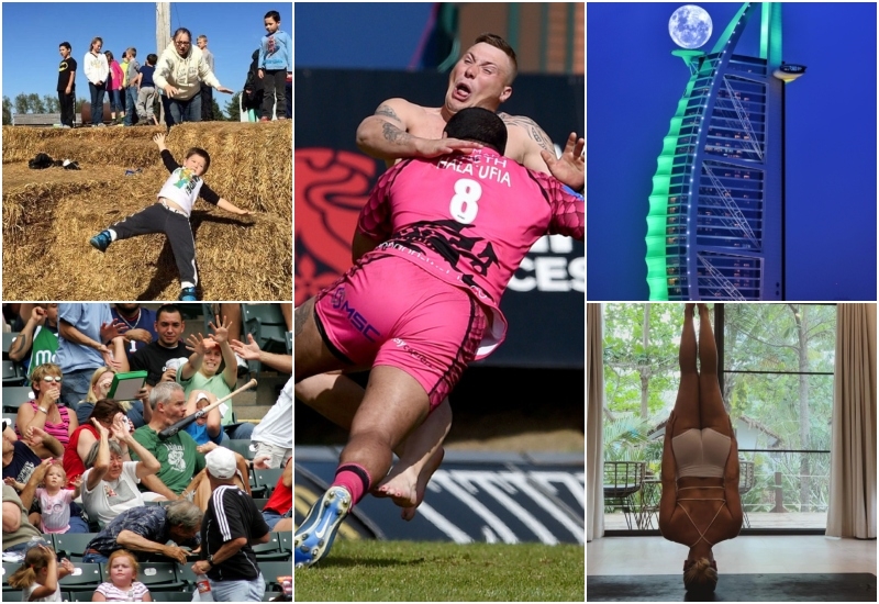 Imagens Impressionantes Que Você Realmente Precisa Ver! | Getty Images Photo by Ron Jenkins/Fort Worth Star-Telegram & Ross Kinnaird & Instagram/@where_is_violet & Imgur.com/b2CZmbg & Alamy Stock Photo 