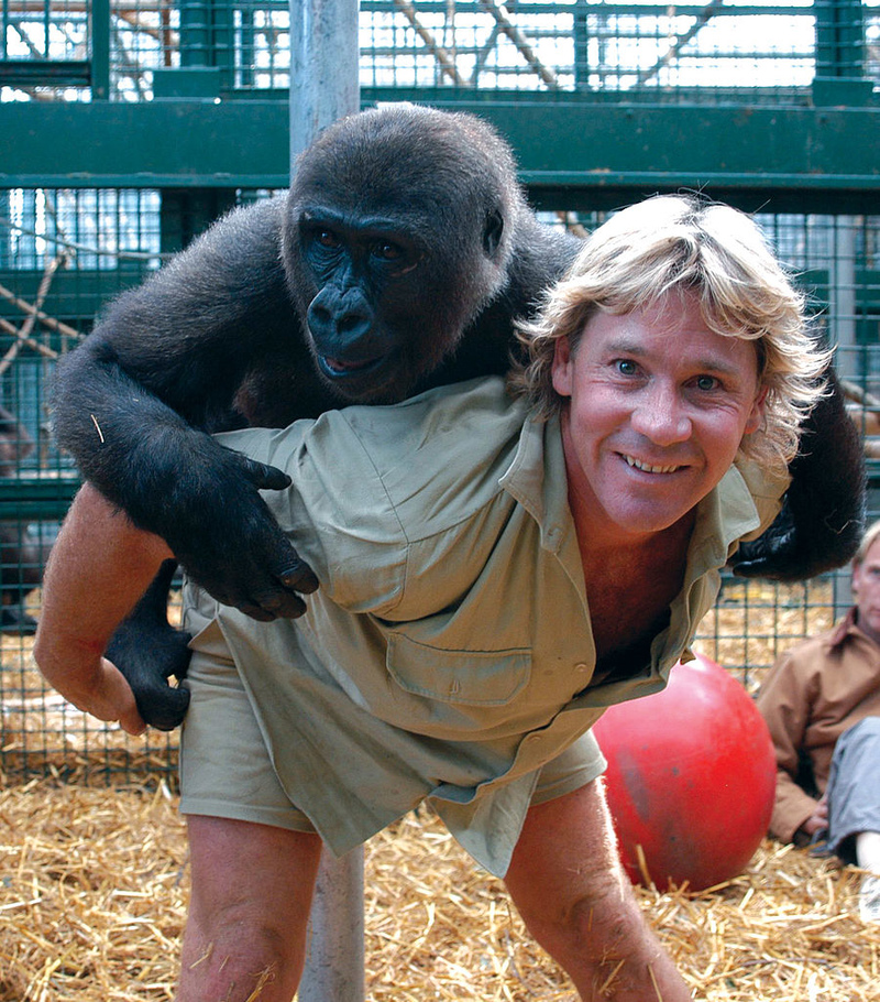 There Are Animal Species Named After Steve | Getty Images Photo by Australia Zoo