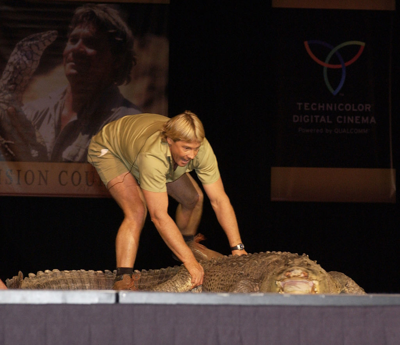 Steve Grew Up Handling Animals | Getty Images Photo by Denise Truscello/WireImage