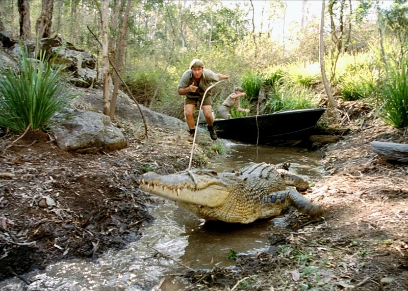 Steve Was Wild About Crocodiles Off-Camera Too | Alamy Stock Photo