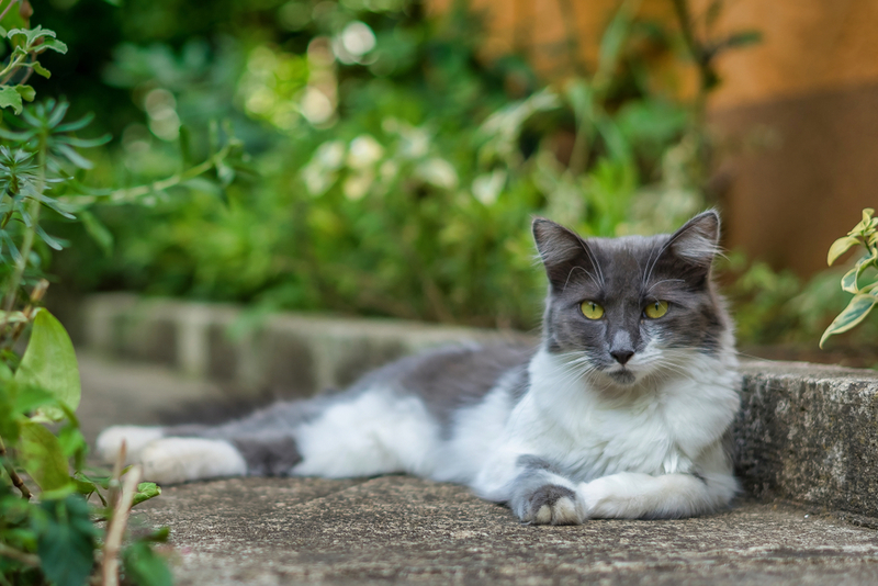 About to Dispense Some Wisdom | Shutterstock