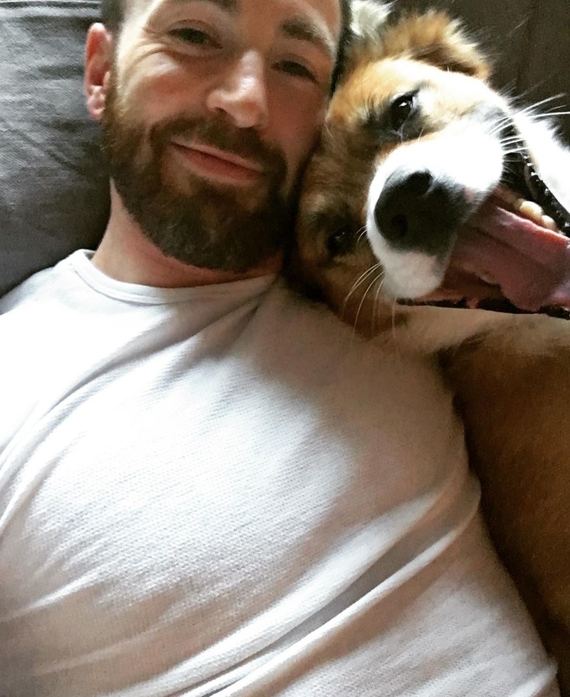 Dodger | Instagram/@chrisevans