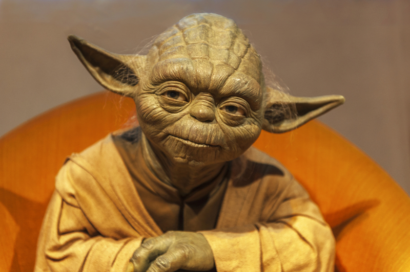 Ärgere Yoda nicht | Yuri Turkov/Shutterstock