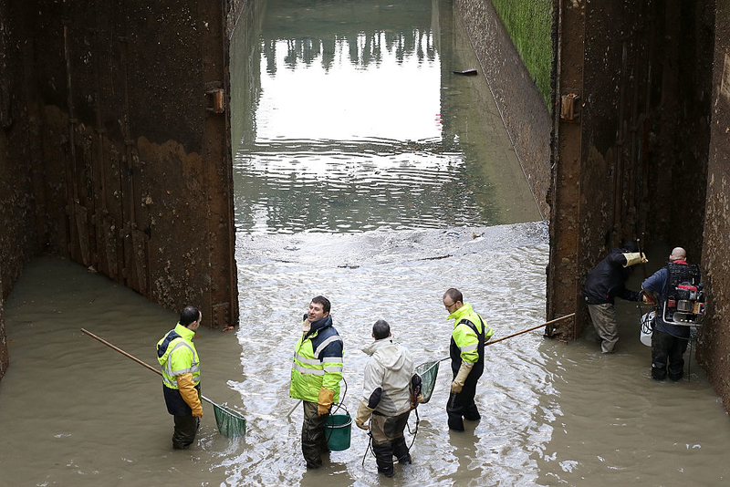 Du wirst nicht glauben, was Forscher entdeckt haben, als sie das Wasser aus den Niagarafällen abgelassen haben | Getty Images Photo by Pierre Suu