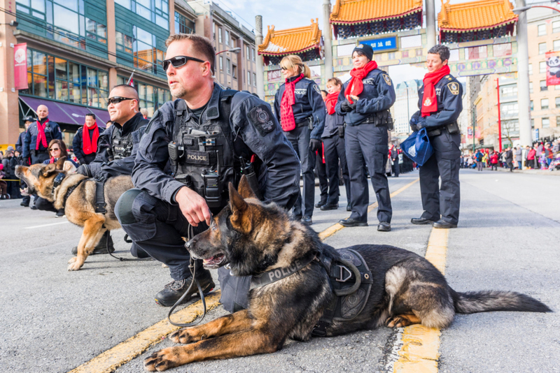 Cães policiais de Vancouver ajudam a cidade | Alamy Stock Photo