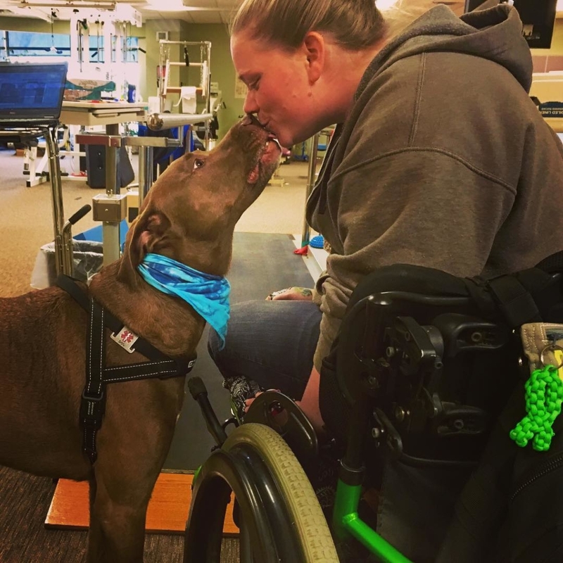 Dieser Pitbull stützt den Hals seines Besitzers während eines Krampfanfalls | Instagram/@servicedogcolt