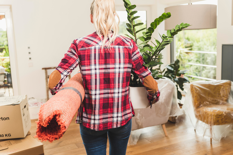 Ha llegado la hora del bricolaje | Alamy Stock Photo