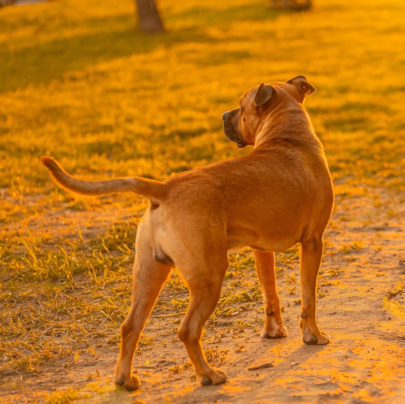 The Hero of the Story | Shutterstock