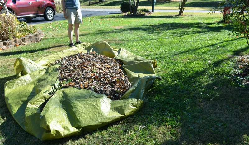 All Aboard the Tarp Train | Shutterstock