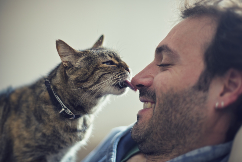 Lambidas do seu gato | Getty Images Photo by Mayte Torres