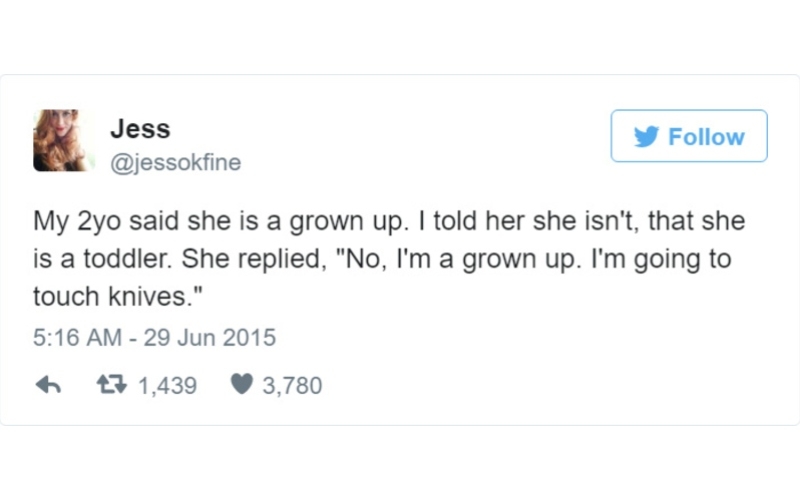 I'm a Grown-Up | Twitter/@jessokfine