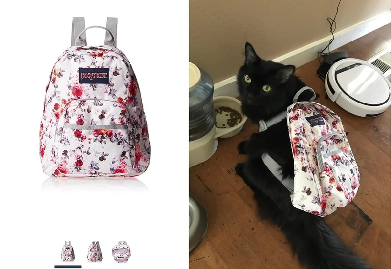 Mochila Felina | Reddit.com/Risky_Clicking