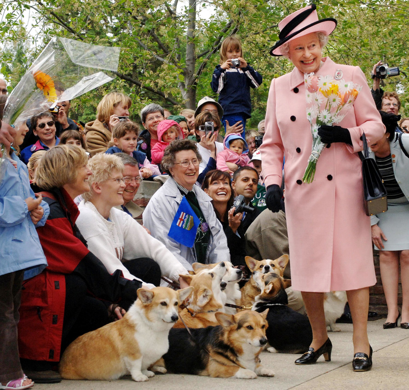 Os Corgis Reais Se Safam de Tudo | Alamy Stock Photo by Fiona Hanson/PA Images