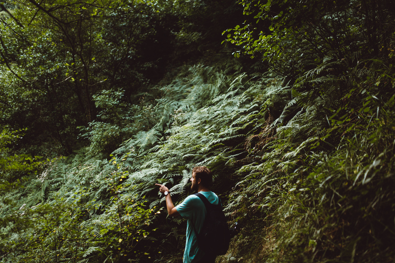 Die Dinge verbesserten sich | Adobe Stock