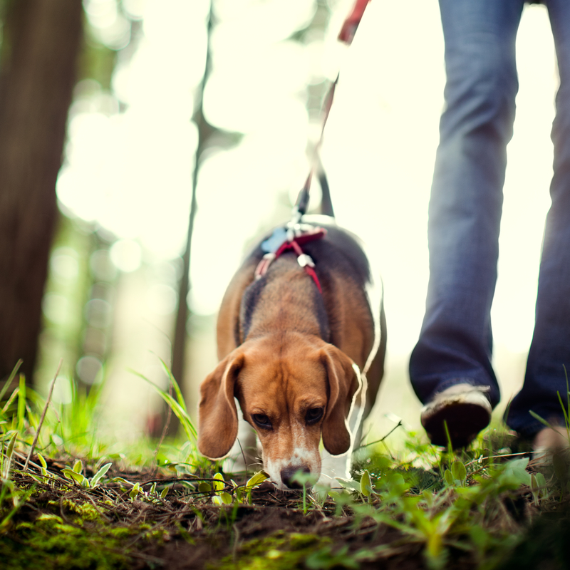 Fast zwei Wochen und kein Anzeichen | Getty Images Photo by RyanJLane