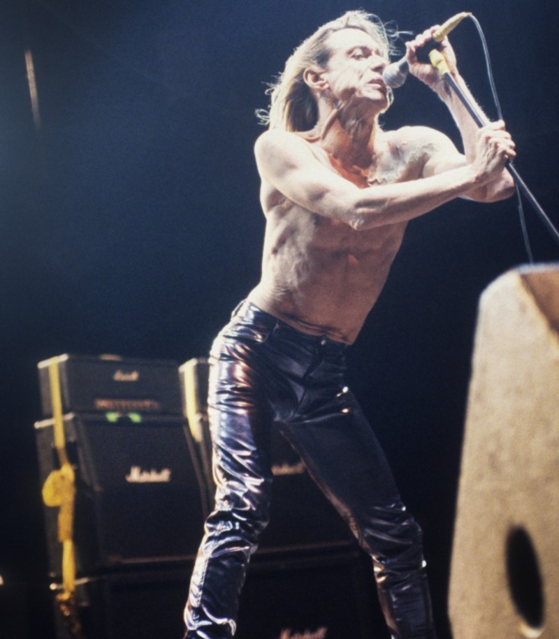 Iggy Pop de The Stooges | Getty Images Photo by Gie Knaeps