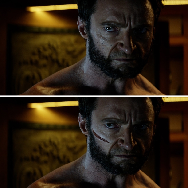 The Wolverine | Imgur.com/Sciencegeek100