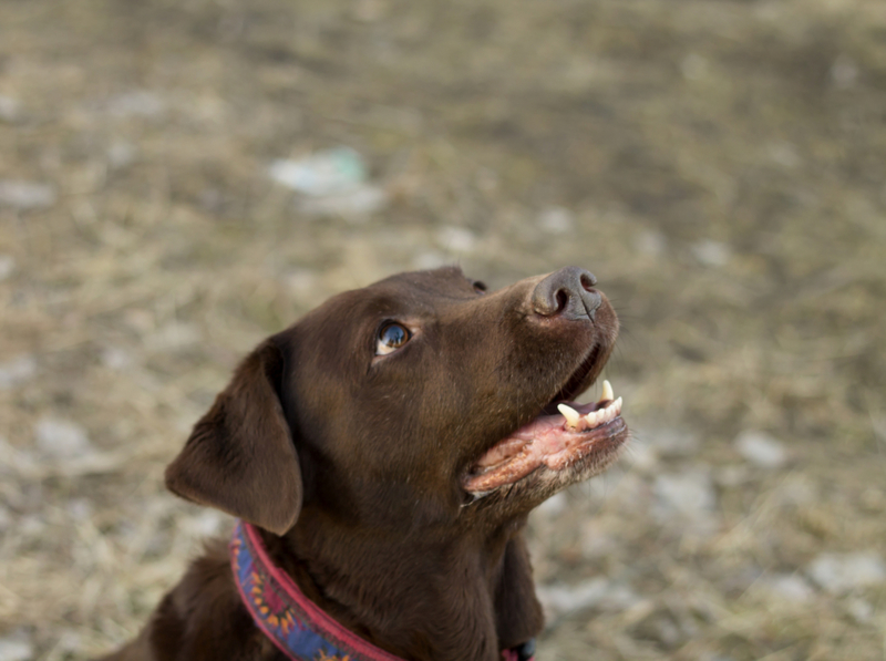 Closing or Opening Mouth Slightly | Getty Images Photo by Ritter75