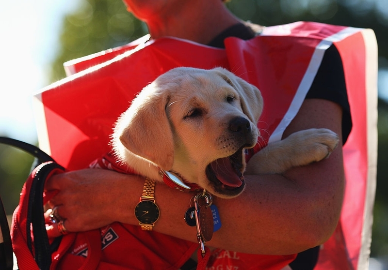 Yawning Doesn’t Only Express Exhaustion | Getty Images Photo by Phil Walter