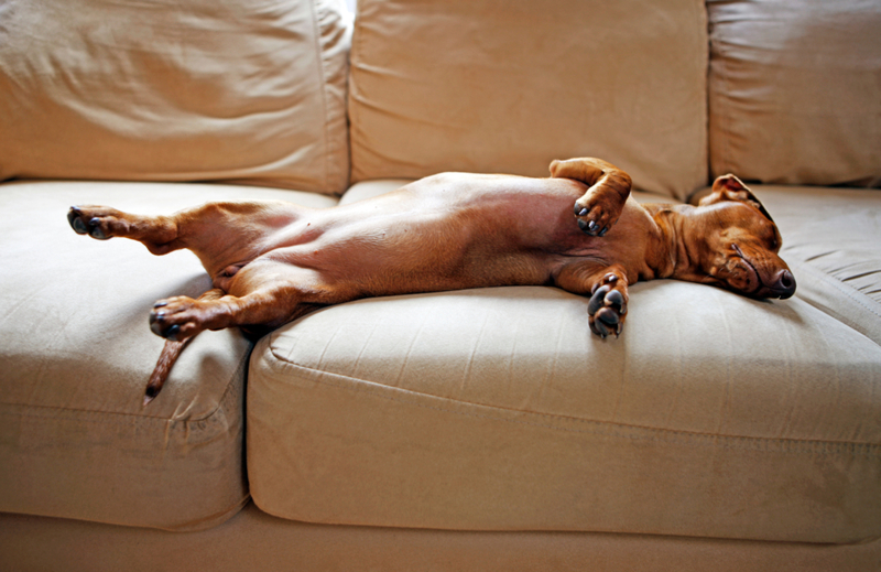 Snoring | Getty Images Photo by Richard Newstead