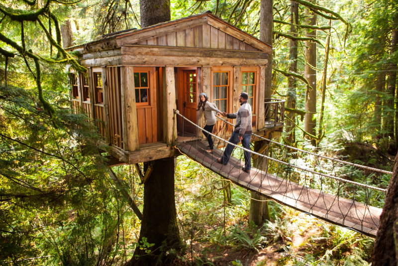 Casa en el árbol para adultos | Alamy Stock Photo