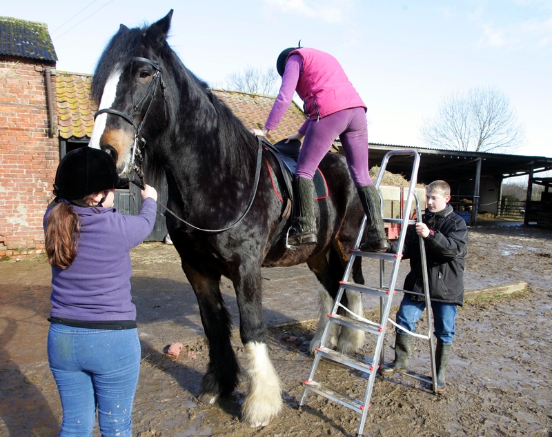 Cracker the Giant Shire Horse | Getty Images Photo by Justin GoffUK Press