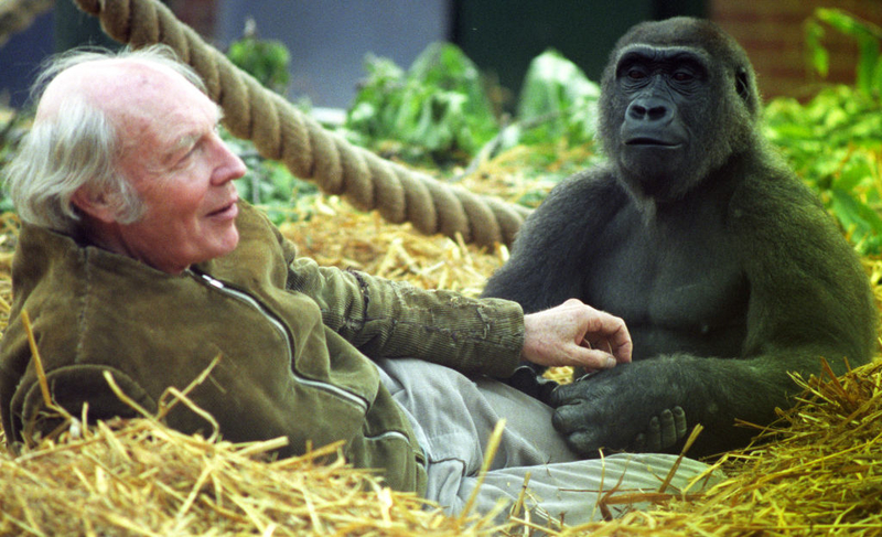 Growing Up With Animals | Getty images Photo by Derek Cox/PA Images