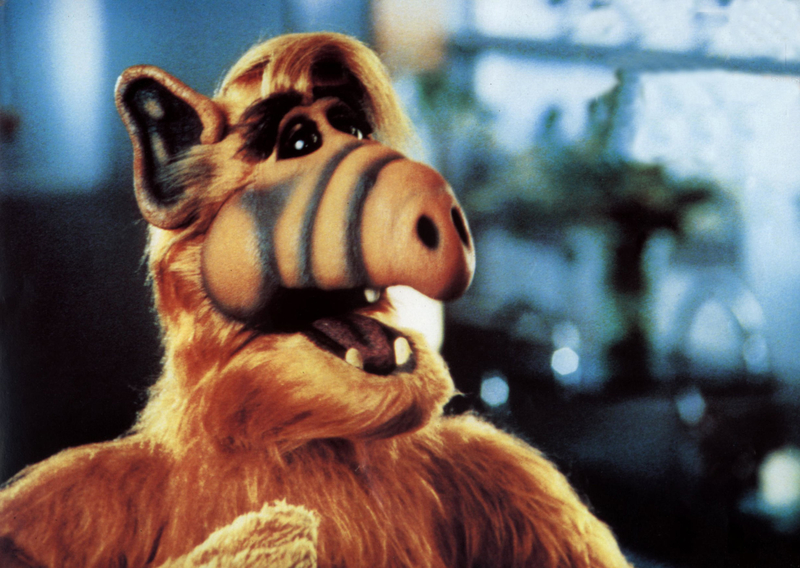 ALF Was a Pioneer | Alamy Stock Photo