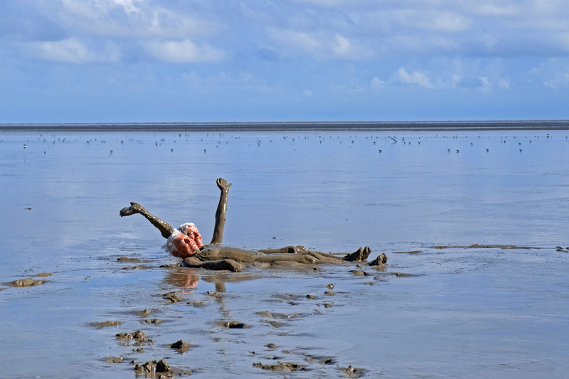 Felices como cerdos en el barro | Getty Images Photo by Marica van der Meer/Arterra/Universal Images Group