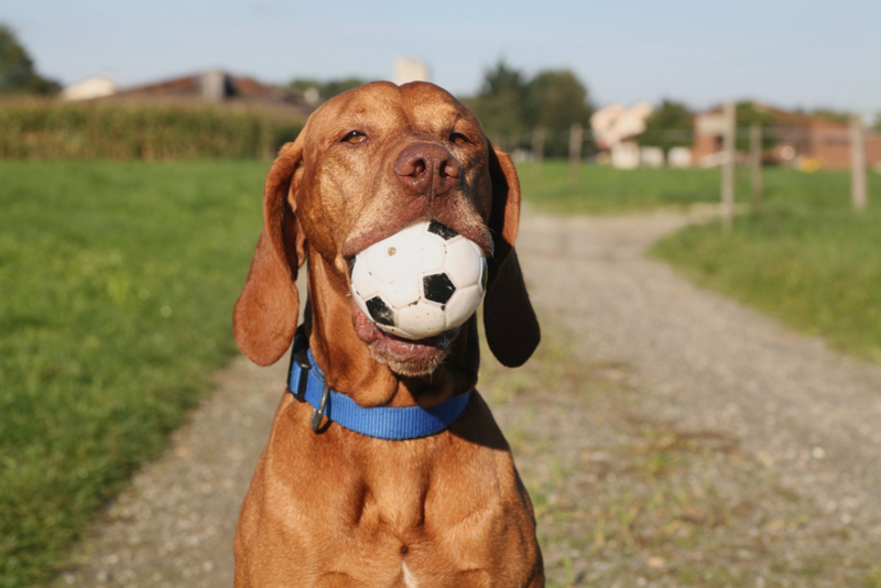 Mira qué buen chico | Alamy Stock Photos